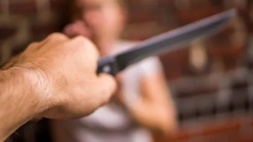 La Montée des agressions : Comment Réagir ?, Paris La Défense, PREVENTIRISK